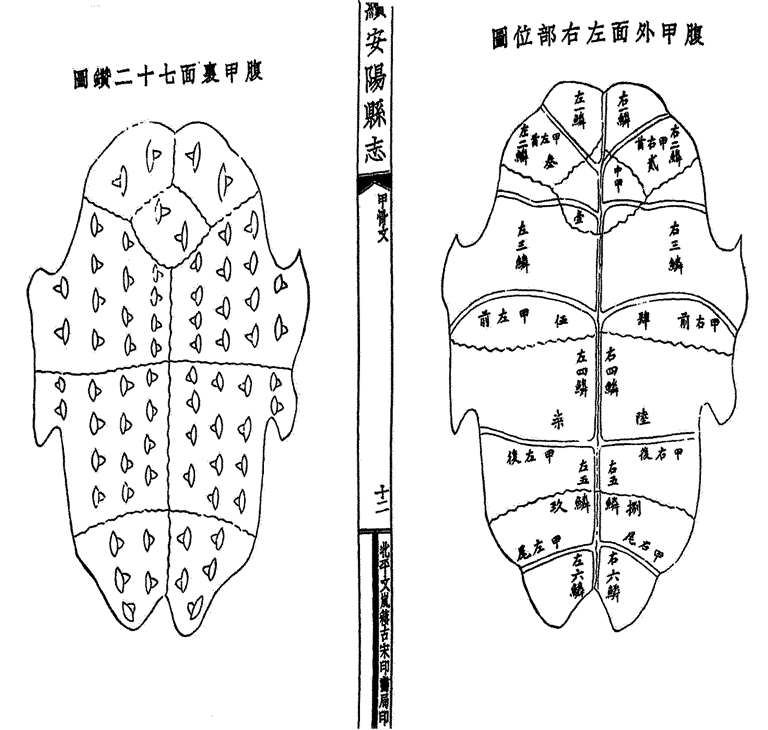 p64_s.jpg